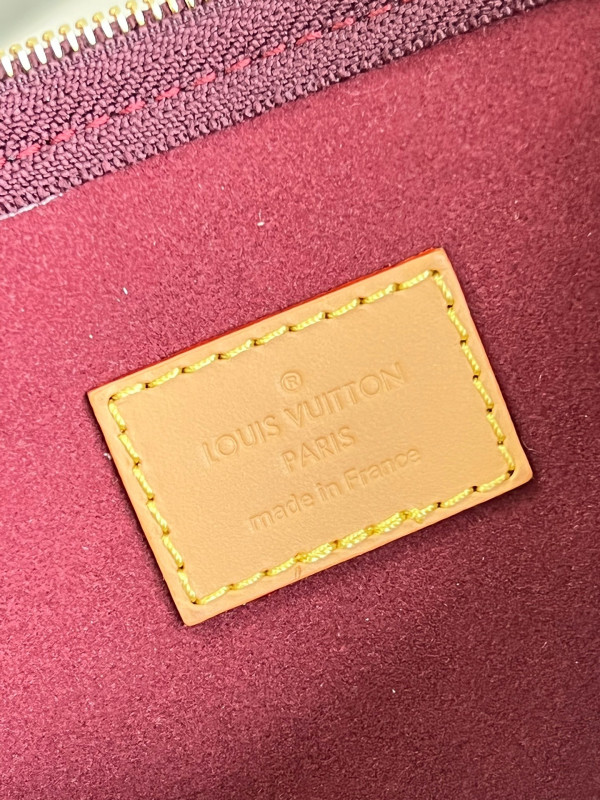 l0*is V*t0n carryall mm