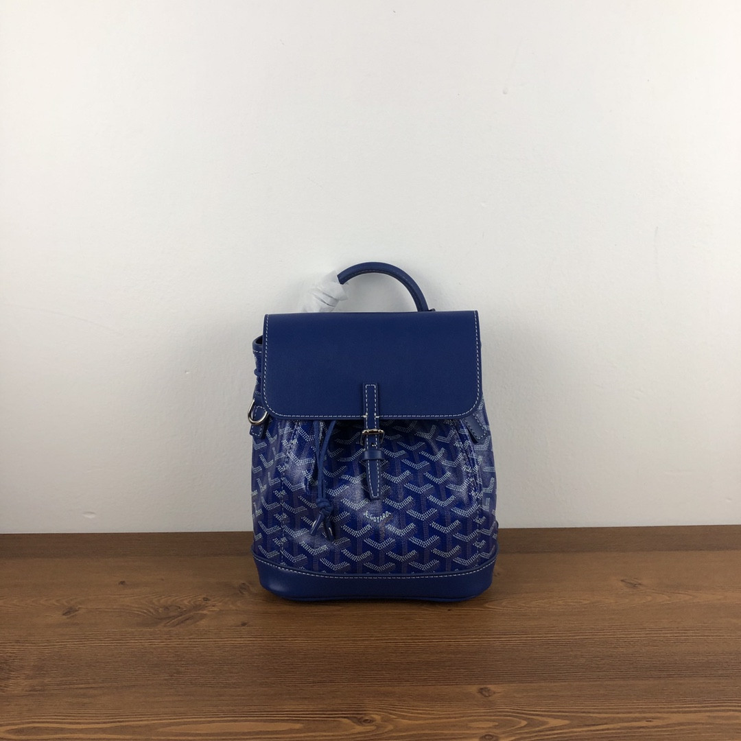 Go*ard alpin mini backpack