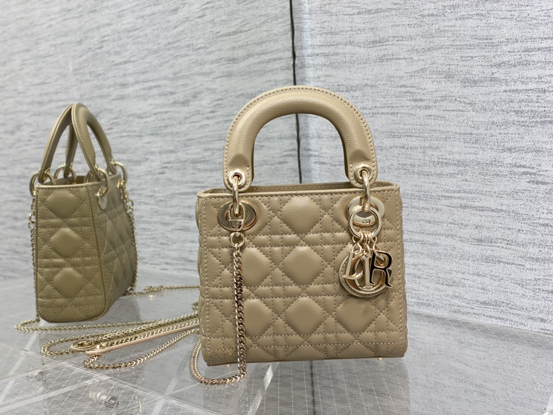 Lady Diro Mini Calfskin